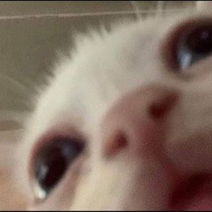 Meet your Posher, Joel